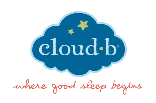Cloudb_Logo_2012